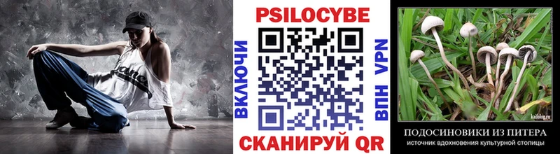 Галлюциногенные грибы Psilocybine cubensis  Купить  Реутов 